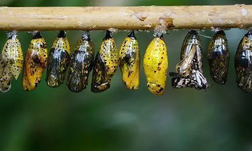 Hilfe bei der JOOMLA!® Migration Hilfe bei der JOOMLA!® Migration